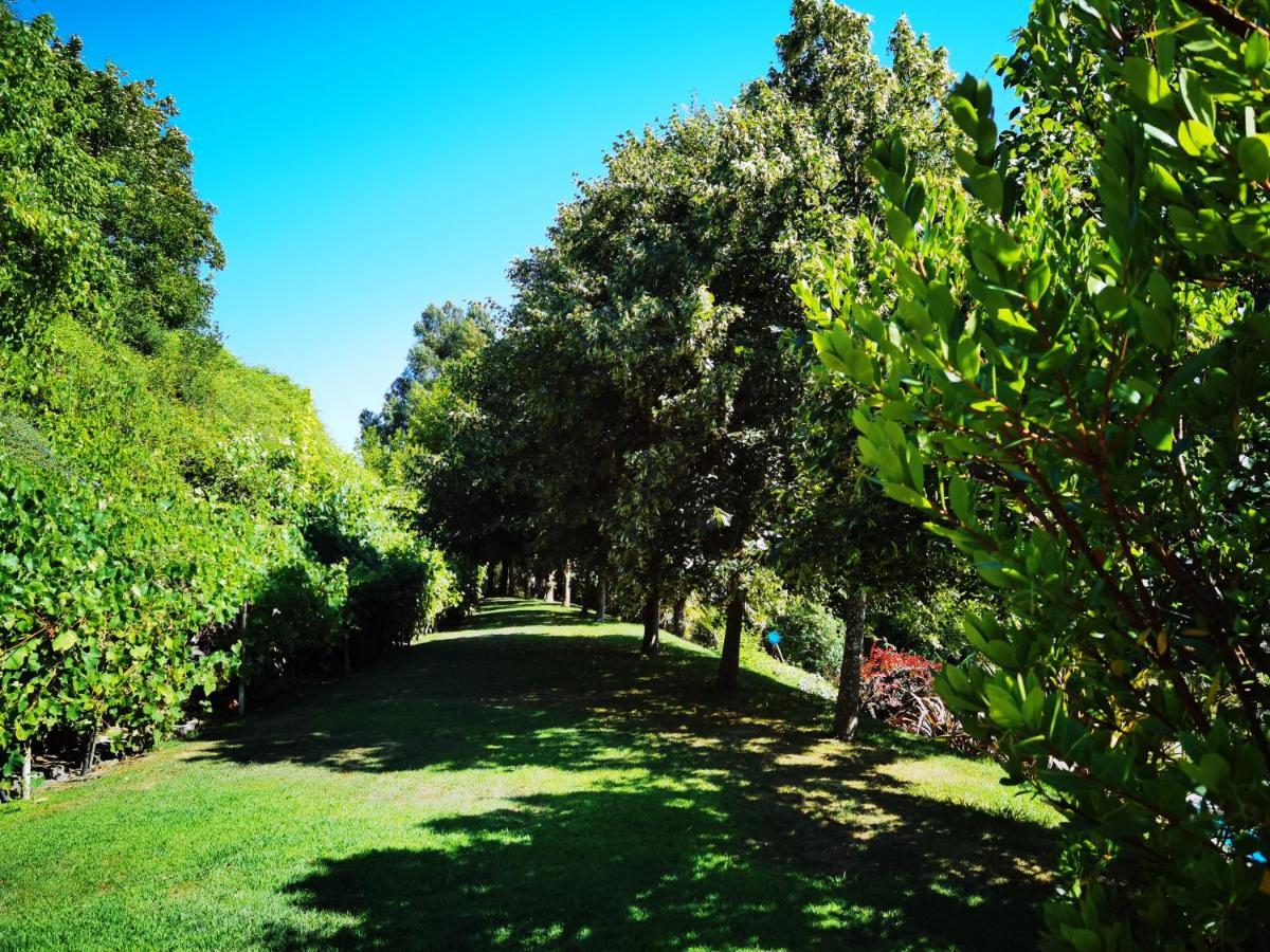 Quinta Do Vale Encantado "The Valley" - Santarem - Portugal Calhariz Zewnętrze zdjęcie