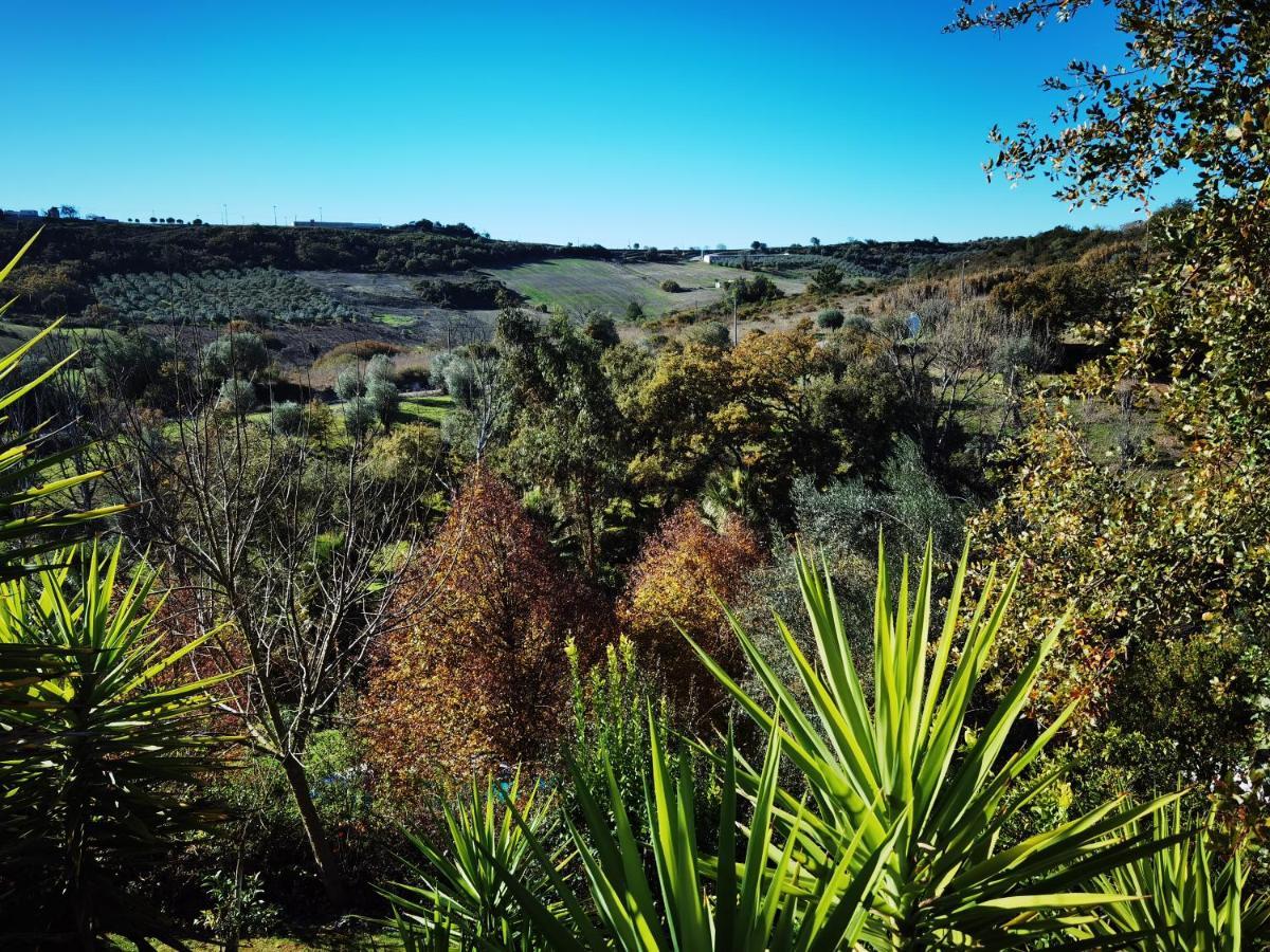 Quinta Do Vale Encantado "The Valley" - Santarem - Portugal Calhariz Zewnętrze zdjęcie